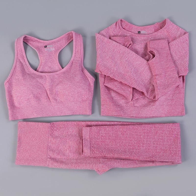 

2/3PCS Women Gym Set Seamless Yoga Set Sports Bra Long Sleeve Yoga Shirts High Waist Leggings Fitness Clothing Workout, Black brapants