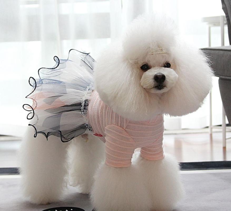 

Girl Dog Cat Dress Tutu Pet Puppy Skirt Spring/Summer Clothes Outfit Striped Flower Design 4 Sizes 2 Colours, Blue