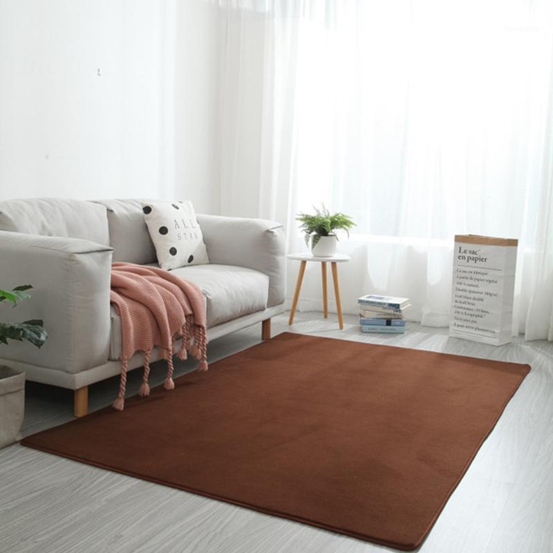 

Plush Area Rug Shaggy Tie-Dye Carpet Living Room/Bedroom Carpets Plush Floor Fluffy Mats Kids Room Faux Fur Area Rugs Silky Rug1, Brown