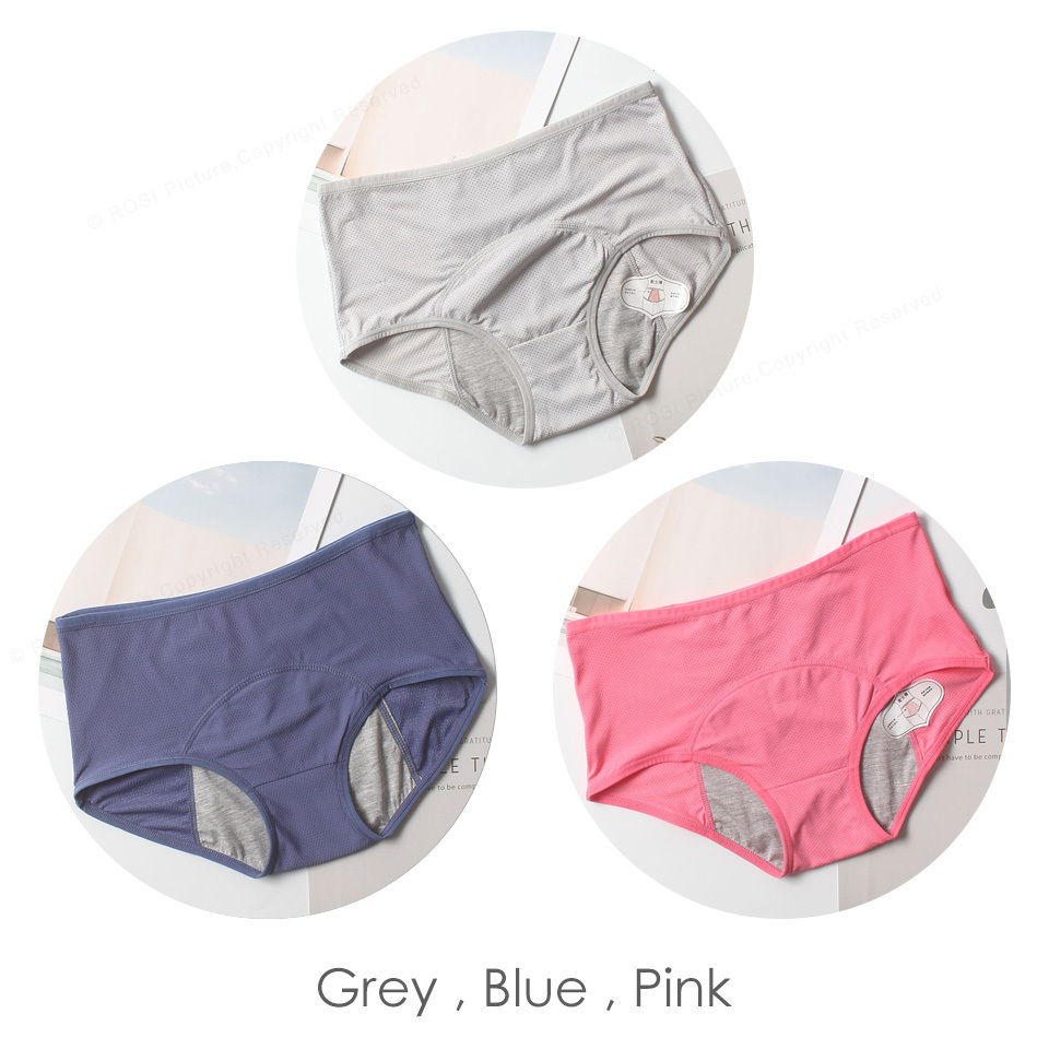 2021 Menstrual Panties For Women Plus Size Nylon Mesh Leak Proof Period