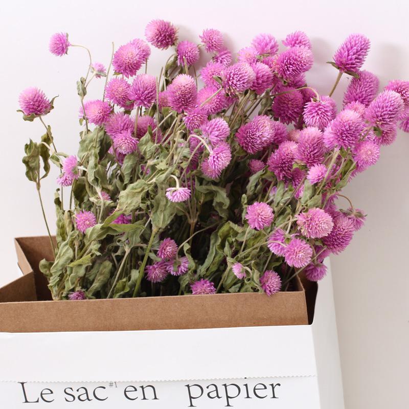 

45 Head Globe Amaranth Dried Flower Bouquet Rose Pink Purple Gomphrena Globosa Pressed Flowers for Home Wedding Party Decoration1