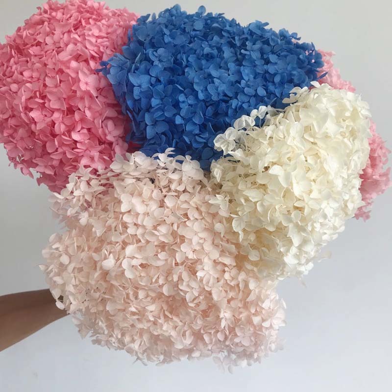 

15-20CM Head,Real Dried Natural Fresh Roses Preserved Hydrangea Flowers Branches,Eternal Rose Forever Hydrangeas With Pole C1111