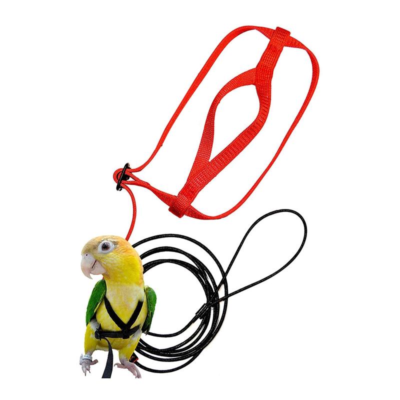 

Pet Bird Harness and Leash,Adjustable Parrot Bird Harness Leash - Pet Anti-Bite Training Rope Outdoor Flying and Leash