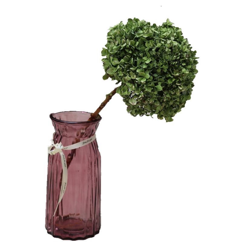 

2 pcs Natural Fresh Preserved Flowers Dried Hydrangea Flower Head For DIY Real Eternal Life Flowers Material NO Vase, 2pcs color