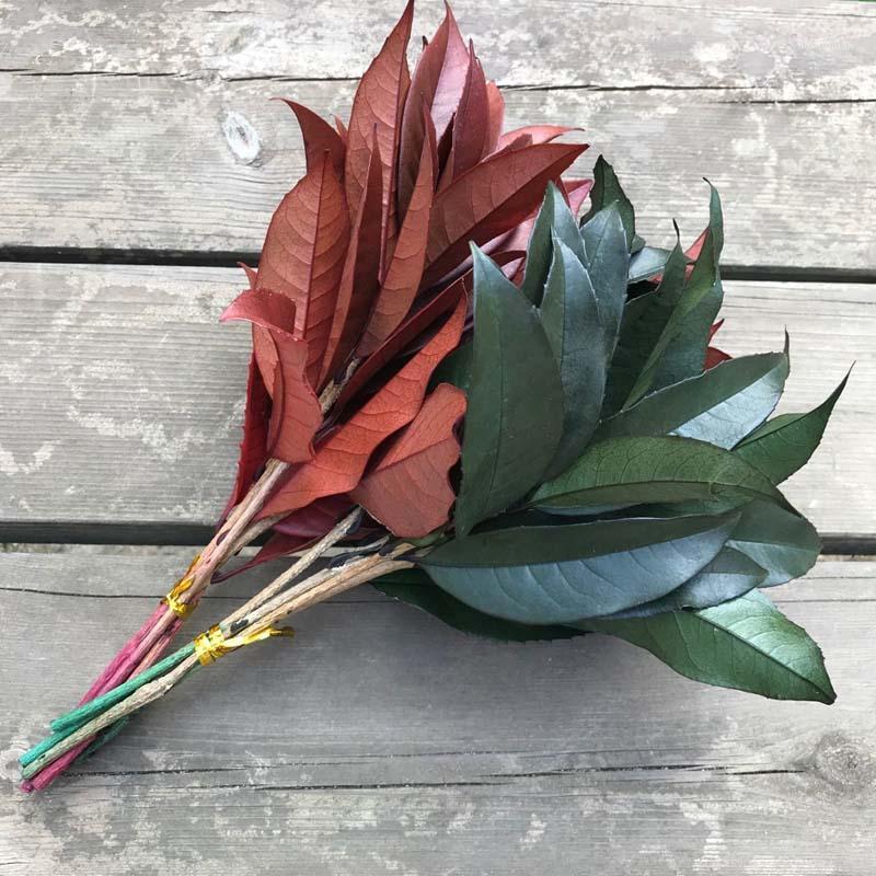 

6PCS Real Natural Fresh forever preserved Osmanthus Tree Branches,Beautiful Eternal Flower Bouquet Green/Red Leaves For Wedding1, 01