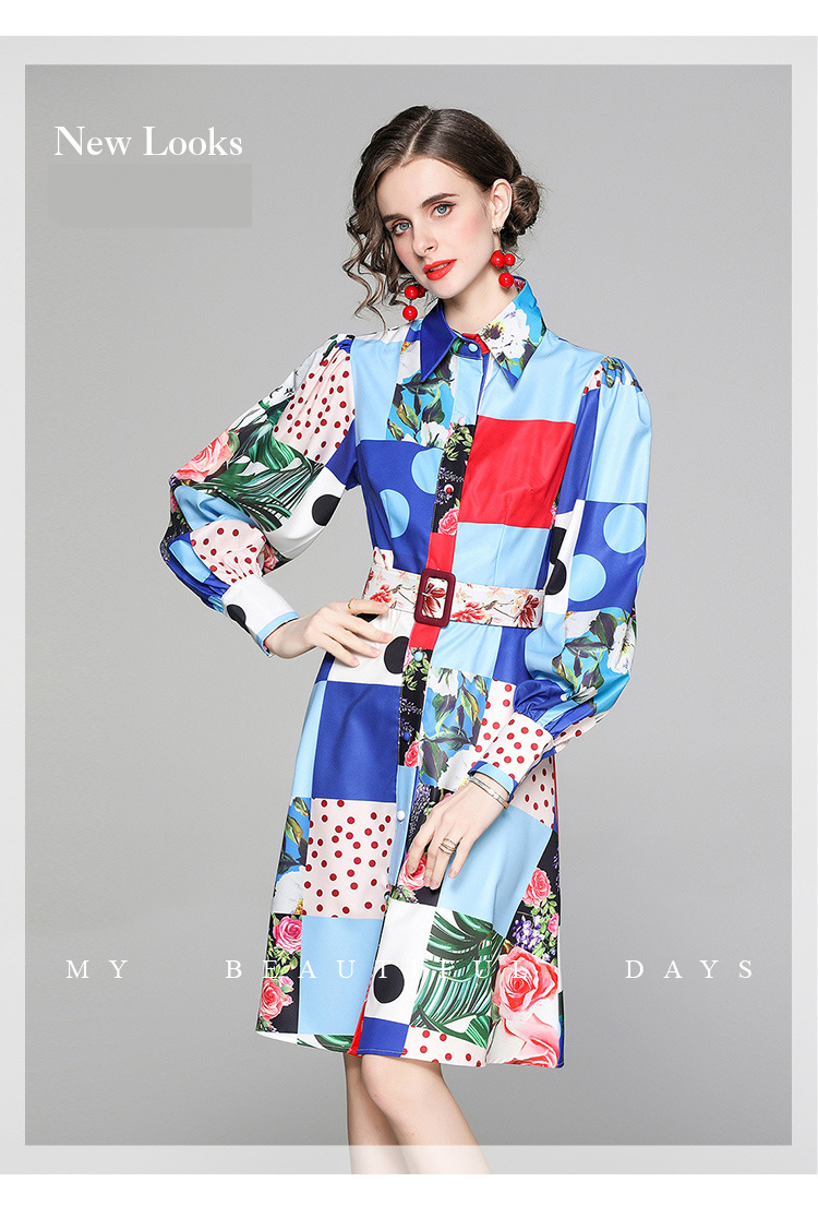 

Fashion elegant Women's Runway Dresses 2021 Spring Printing Dress Lapel Neck Long Lantern Sleeve A Casual Wear, As picture