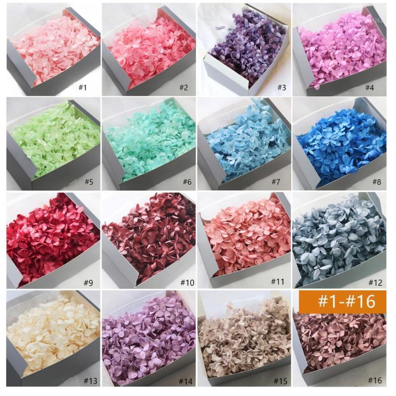 

20g/box 16 color Lasting Natural Fresh Preserved Flowers Dried Hydrangea Flower Head For DIY Real Eternal Life Flowers Material1, Sky blue