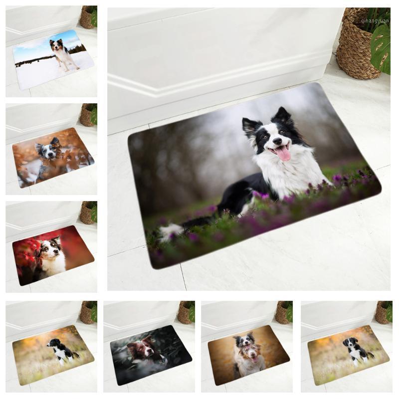 

Scotland Border Collie Dog Doormat Decor Pet Animal Floor Door Mat Non-Slip Soft Flannel Carpet for Hallway kitchen Room 40x60cm1, 12
