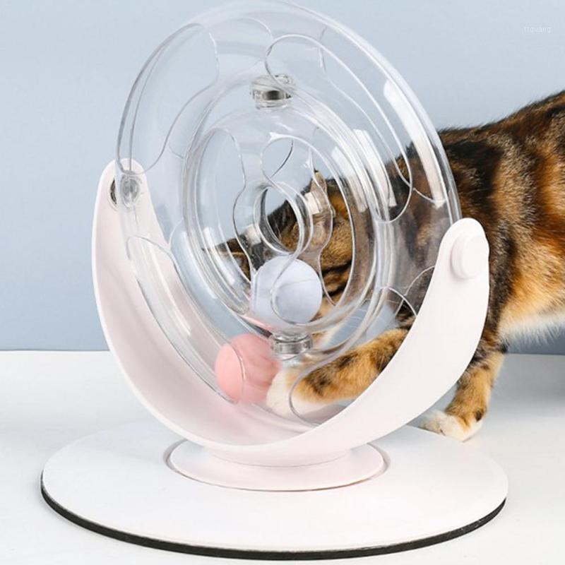 

Cat Toys Roller Space Ring Puzzle Pet Supplies Interactive Game Board Educational Cats Dogs Pets Toys With 2 Balls1