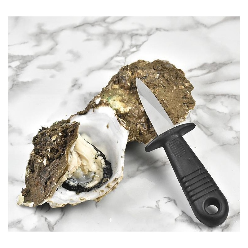 

Multifunction Utility Kitchen Tools Stainless Steel Handle Oyster Knife Sharp-edged Shucker Open Shell Scallops Seafo jlljcj bdebag