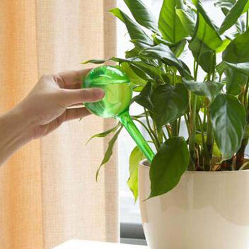 

Automatic Watering Device Houseplant Plant Pot Bulb Globe House Garden Waterer, Transparent s