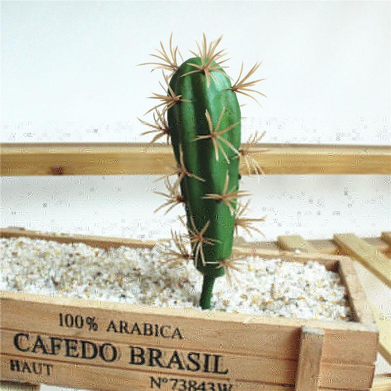 

Simulation Succulent Artificial Flower Tropical Plant Cactus Creative Home Decor1