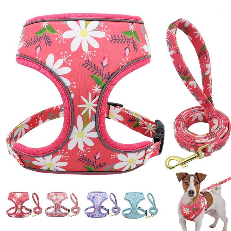 

Dog Collars & Leashes Reflective Print Cat Harness Leash Set Nylon Daisy Floral Pet Puppy Vest For Small Medium Dogs Chihuahua1