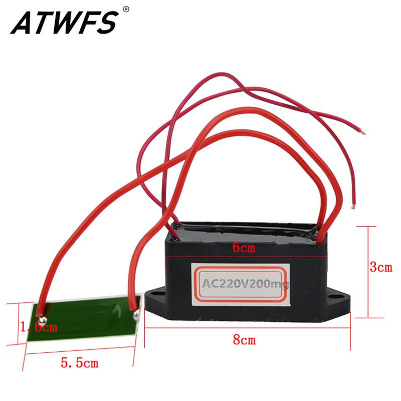 

ATWFS New Arrival Portable Ozone Generator 12V/220V 500mg Ceramic DIY for Water Air Plate Cleaner Car Ozone Generator