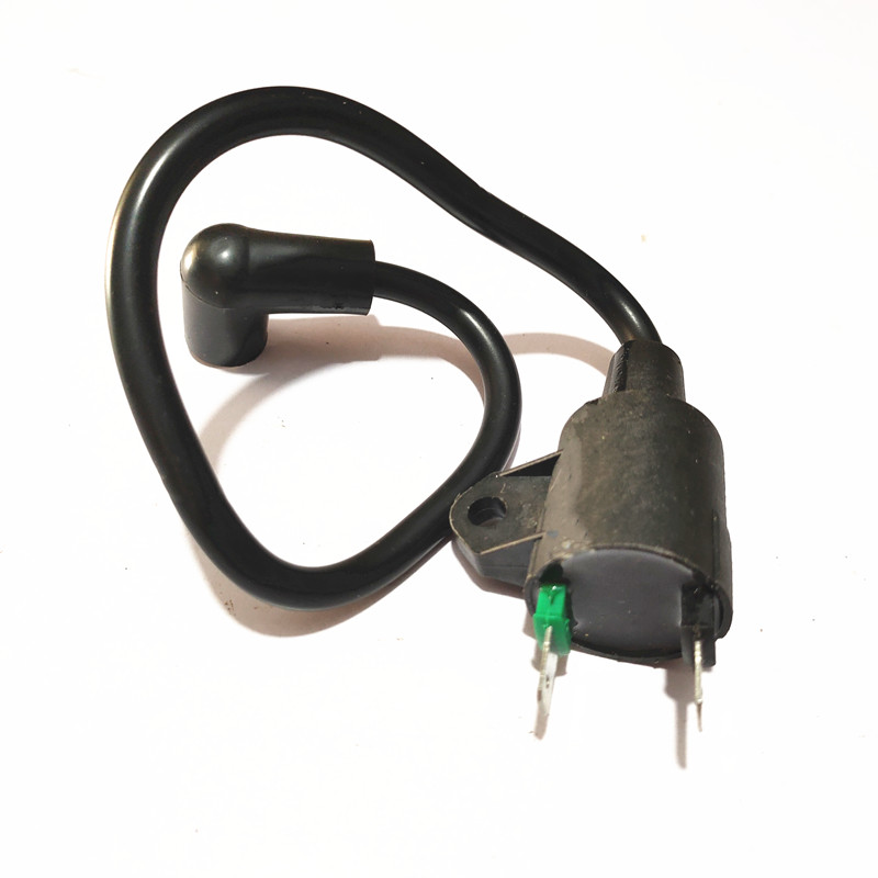 

ET950 ET650 Ignition coil for Generator TG950 650 W 950 W 1000 W 1KW 2 stroke 1E45 Generator spare parts