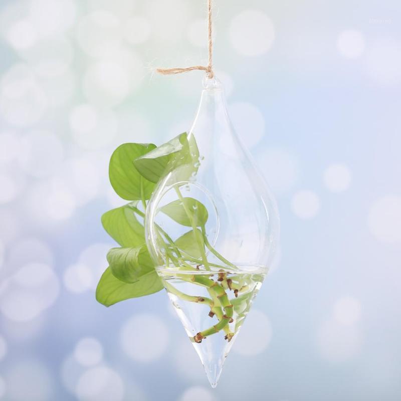 

Transparent glass bottle succulent vase double tip hydroponic flower plant micro landscape ecological wholesale Hanging vase1