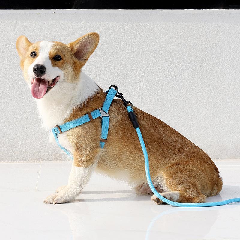 

Dog Leash Collar and Chest Strap 1.5 Meters Adjustable Large, Medium and Small Golden Retriever Samoyed Chain Rope, Pet Supplies