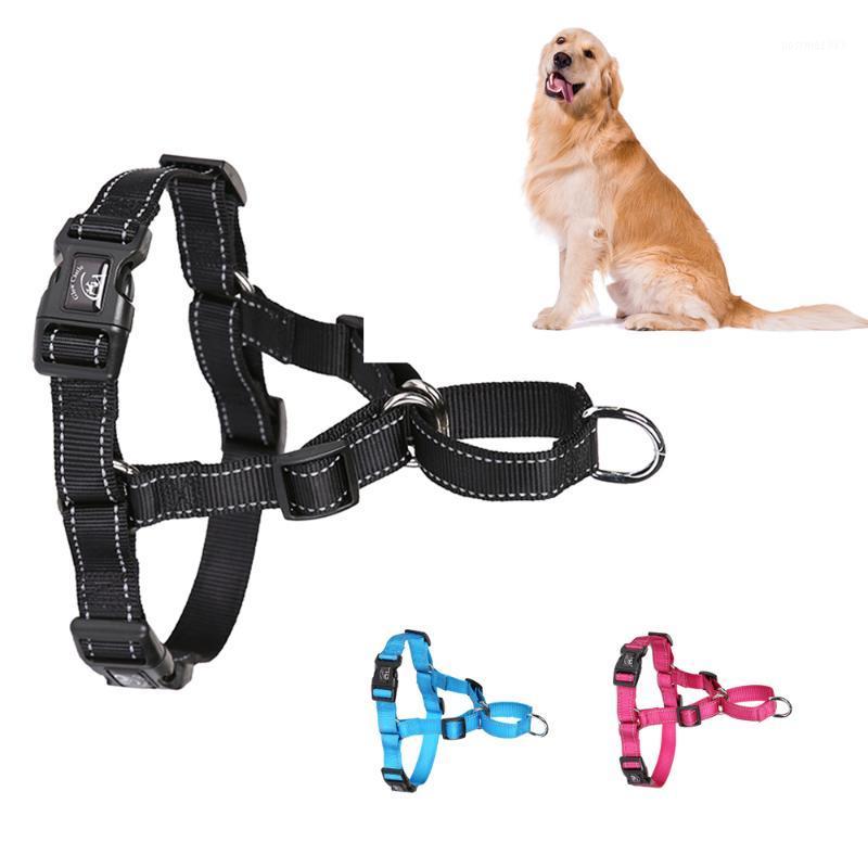 

Pet Dog Nylon Harness No Pull Adjustable Dog Leash Vest Classic Running Leash Strap Belt for Small and Medium Dogs Dropshipping1