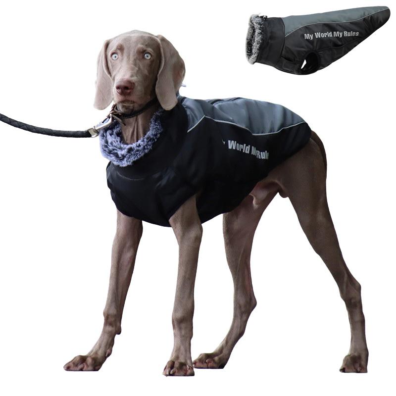 

Pet Dog Clothes Waterproof Big Dog Coat Winter Warm Outdoor Jackets With Velvet Medium Large Dogs Walking Harness Clothing, 1.5m(5ft) leash