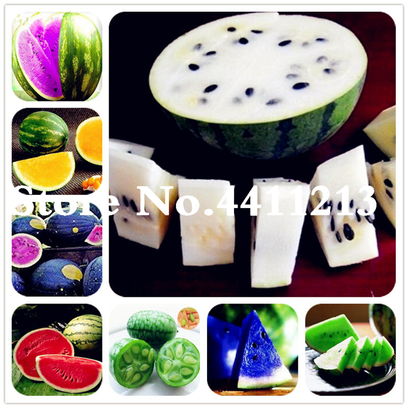 

Sale! 30 Pcs seeds Melon plants Organic Non-GMO Delicious Tasty Watermelon Bonsai Fruit Plant Variety Fresh Cool Summer Bonsai Plant for Home Garden Aerobic Potted