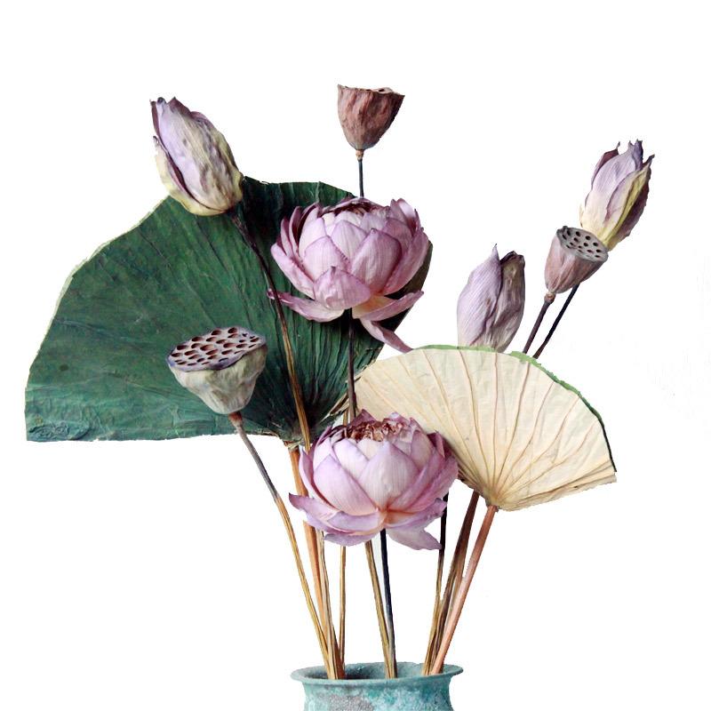 

60cm/1Pcs Lotus Natural DIY Dried Flowers For Photo Props Wedding Home Party Office Decorative Dried Plants Arrangement, Cw042