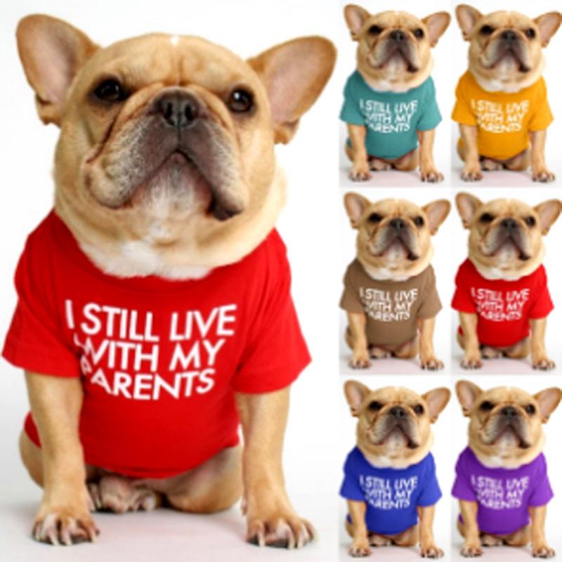 

2020 New Pet Clothes Spring Summer, and Fall Hedging Round Neck T-shirts Small and Medium Dogs Cat Two Foot Clothes Pet Supplies, White