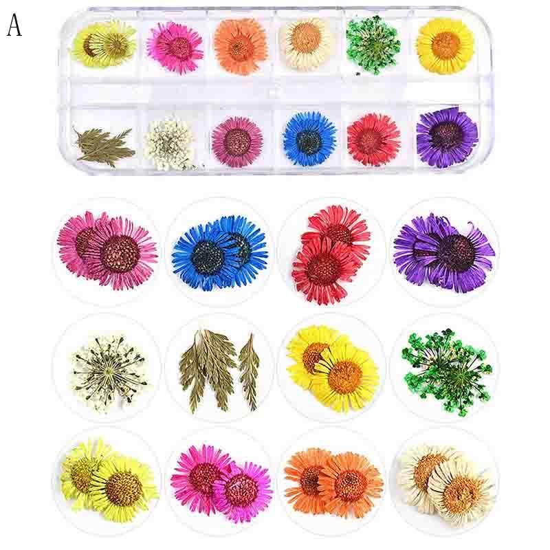 

Dried Flowers Leaf Nail Decoration Natural Floral Sticker Dry Beauty Nail Art Decals Jewelry UV Gel Polish Manicure