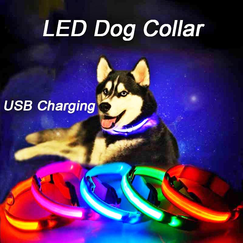 

led dog collar rechargeable USB Charging Flashing Nylon Anti-lost collars for cats Safety led dog pet light up collar night