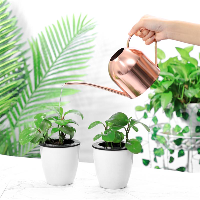 

1000ml Stainless Steel Watering Can Indoor Plants Succulents Long Spout Watering Pot for Home Garden Office, As pic