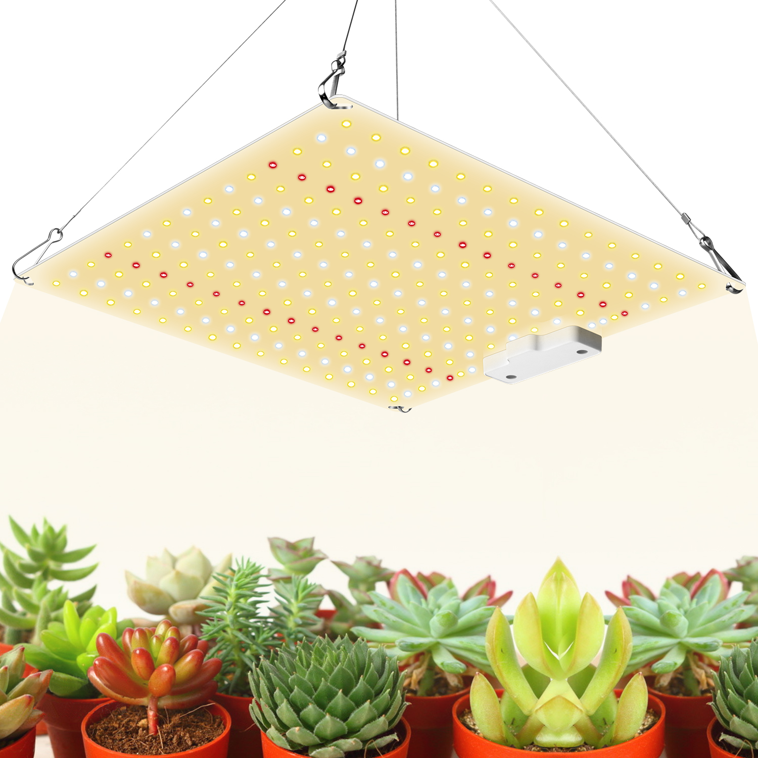 

Samsung LM281b+ Diodes Quiet Fanless Full Spectrum 600W LED Grow Light High PPFD for 2x3FT Tent for Seedling Veg and Blooming