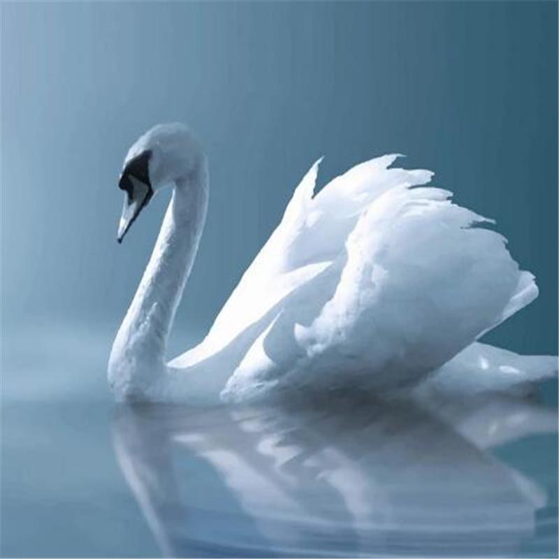 

Custom Photo Wallpapers for Walls 3D White Swan Lake Animals Modern Wall Murals for Living Room Wall Papers Home Decor Bedroom, As shown