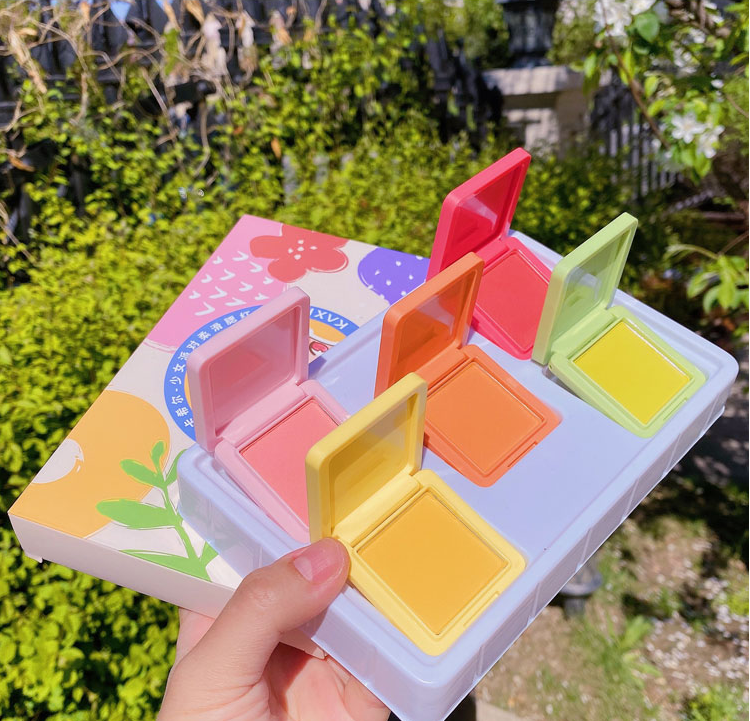 

5PCS/SET Makeup Cheek Blush Matte Cheek Blusher Powder Palette Blusher Bronzer Highlighter Neon Eyeshadow Cosmetic, Customize