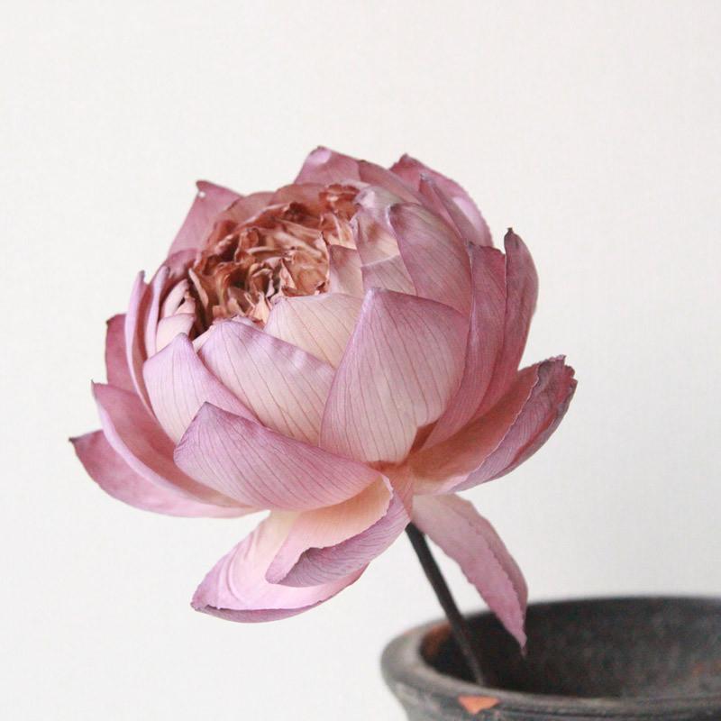 

1Pcs Natural Dried Flowers Lotus DIY Plants Arrangement For Photo Props Wedding Home Party Office Decorative Dried, Cw042