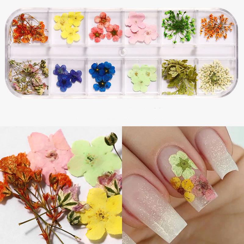 

24pcs Dried Flower Nail Decoration Natural Flower Leaf Sticker 3D Japanese Nail Art Creative Design 12 Grid Box Accessories