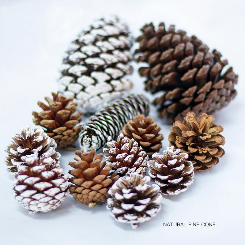 

Christmas Tree Natural Pine Cone Ornaments Party Decoration Snowflake Pine Cones Vase Filler DIY Christmas Wreath Materials