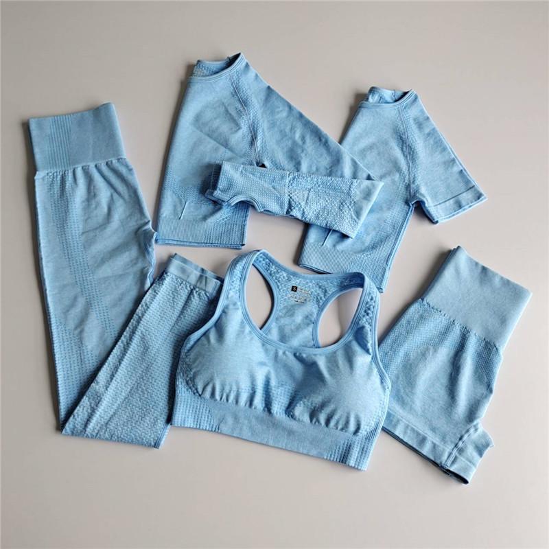 

5PCS Seamless Women Yoga Set Workout Sportswear Gym Fitness Long Sleeve Crop Top High Waist Leggings Sports Suits, Purple 3pcs