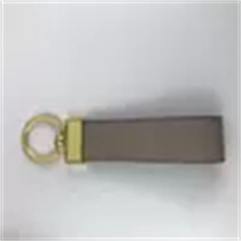 

Designer Keychain Men Women Fashion Bag Pendant Accessories Cute Carabiner Keychains Lovers Car Key Chains Key Chain100