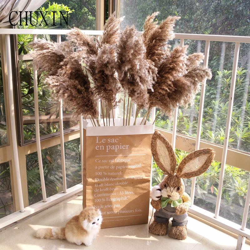 

100pcs Pampas Grass Natural Dried Flowers Reed Christmas Decor For Family Banquet Wedding Arrangements Dried Flower Decorations