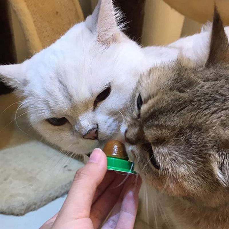 

1PC Cat Catnip Catnip Healthy Candy Licking Energy Ball Kittens Cat Toy Dropshpping Keep TSLM Dropshipping