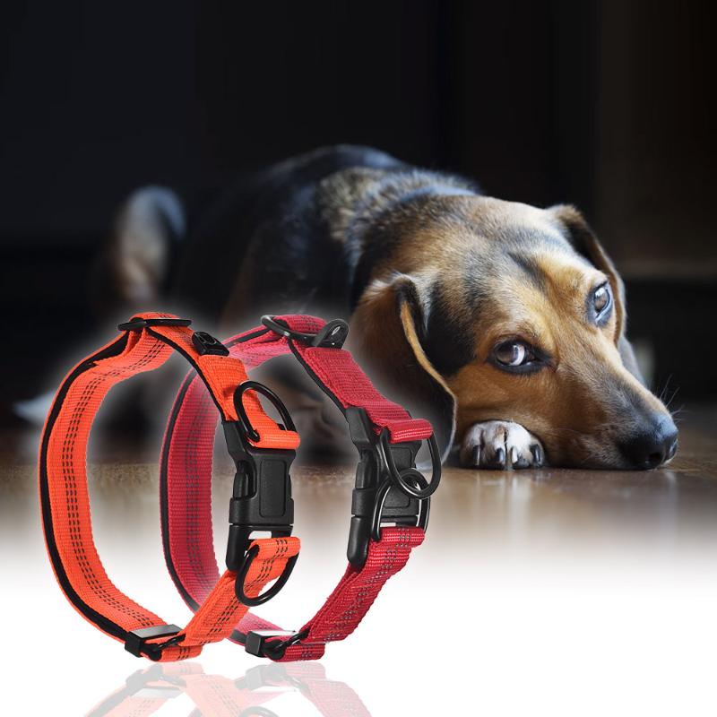 

Strong Durable Dog Collar Adjustable Reflective Strips Dog Collar Dual D-ring Nylon Length Comfortable Neck Pet Collars For Dogs