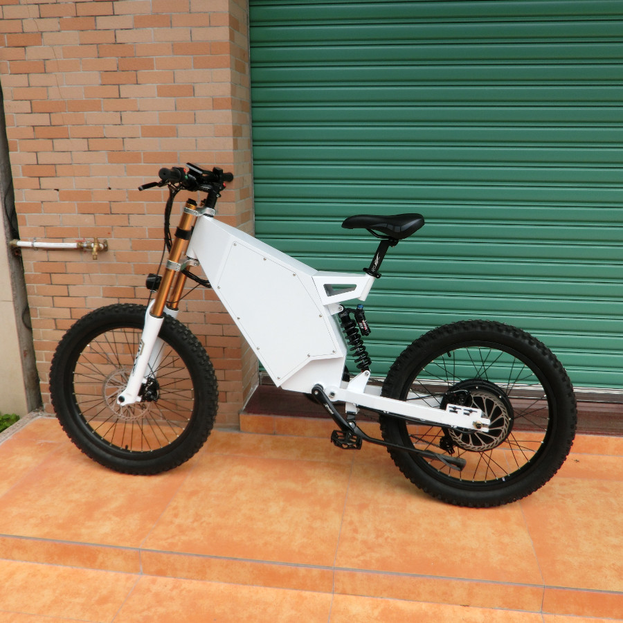 large frame ebike