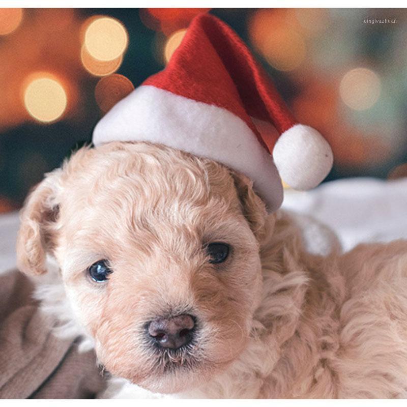 

Mini Hats Pets Party Hat Plush Christmas Hats Xmas Tree Caps with Ball New Year Decoration Puppy Santa Navidad Soft Dog Decor1