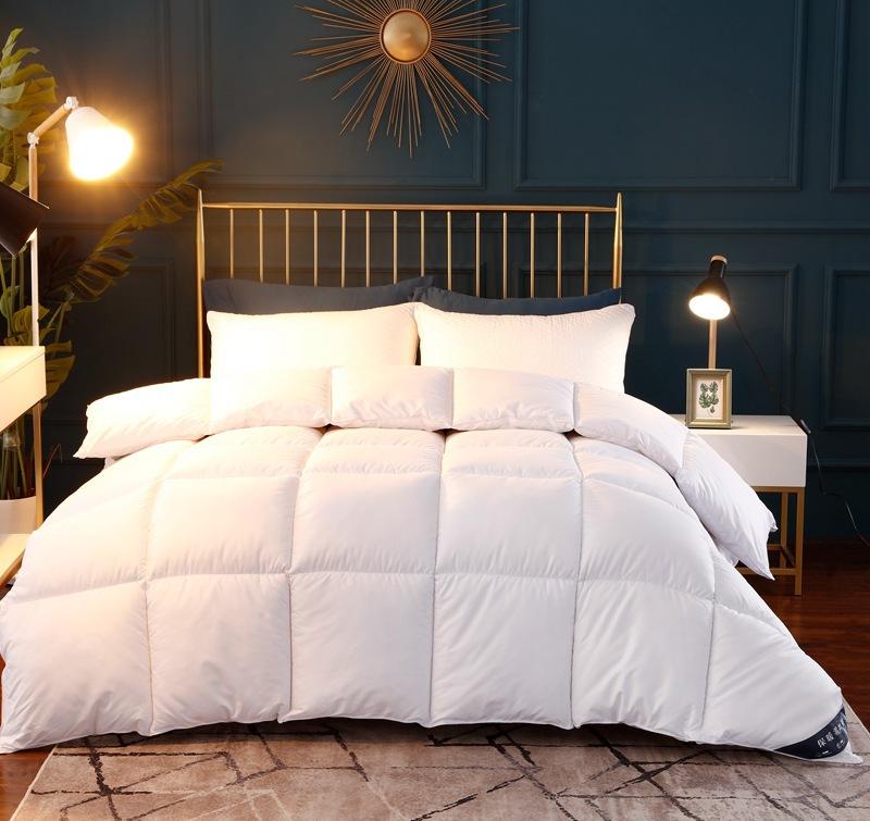 

Comforter Spring and Autumn Quilt Feather Velvet Thickened Warm Winter Quilt Hotel Core Quilts, A3