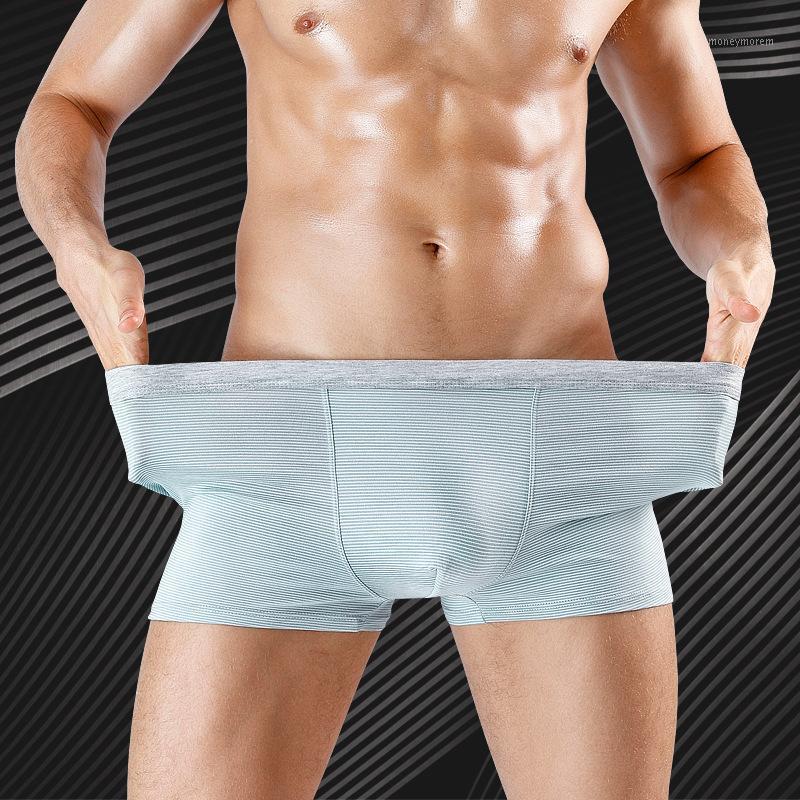

Luxury Boxer Underwear Shorts Bamboo Fiber Viscose Men Underpants Slips Ultra Soft Breathable Brand Black Gray Striped Stretch1