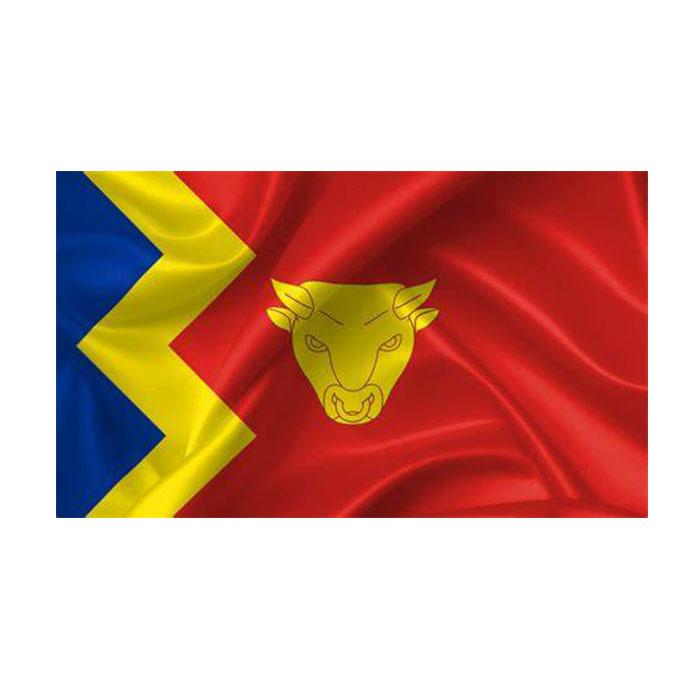

Birmingham Flag High Quality 3x5 FT City Banner 90x150cm Festival Party Gift 100D Polyester Indoor Outdoor Printed Flags and Banners