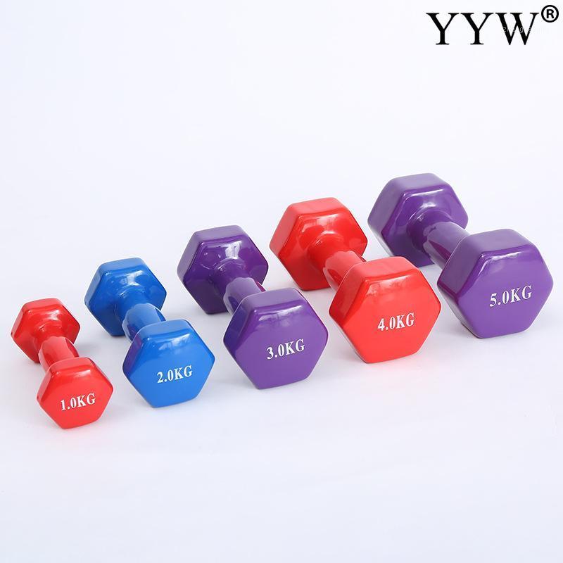 

Dip Dumbbell Indoor Fitness Equipment Unisex Dumbbell Family Yoga Dumbbells High Quality Multi-Functional Fitness Dumbbells1, Red