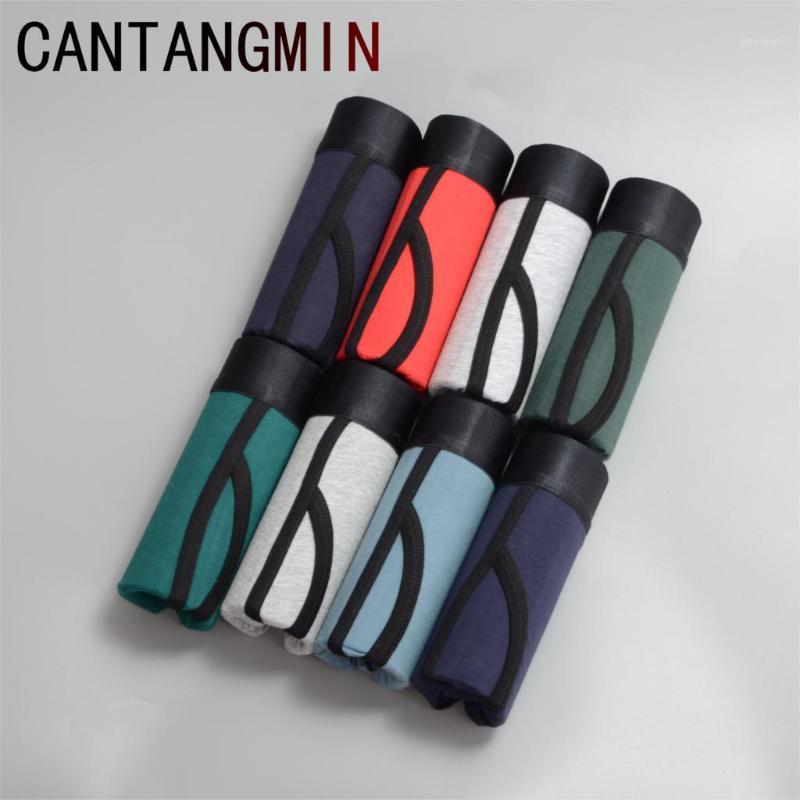 

CANTANGMIN man panties 40S cotton boxers panties breathable comfortable men's underwear trunk brand man boxer1, K8