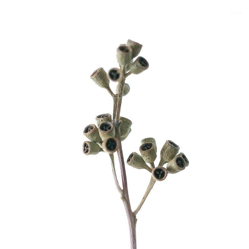 

7 stems Natural eucalyptus fruit original ecological dried flowers home wedding decor flowers floral arrangement1, 7pcs raw color