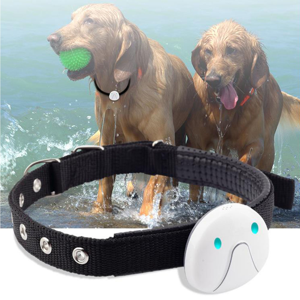 dog tracking collars for sale