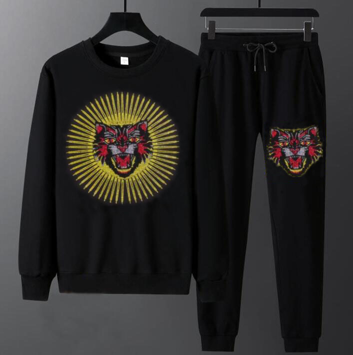 

New Winter Training Casual Sets Two Long Sleeve Pieces Male Suits D54f, Black.